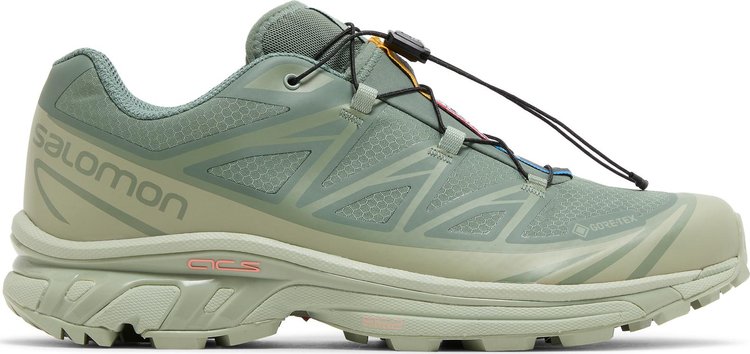 XT 6 GORE TEX Desert Sage