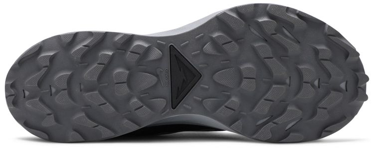Nike Pegasus Trail 2 Dark Smoke Grey