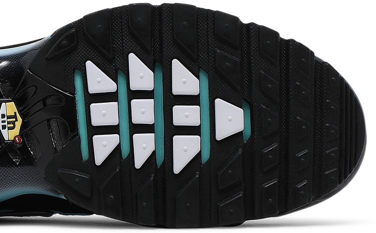 Nike Air Max Plus Aqua Silver