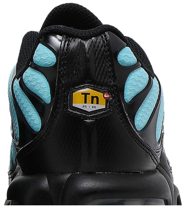 Nike Air Max Plus Aqua Silver