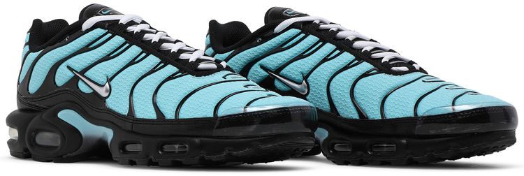 Nike Air Max Plus Aqua Silver