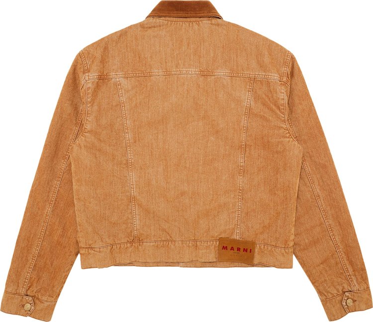 Marni Short Truck Jacket Buttercream