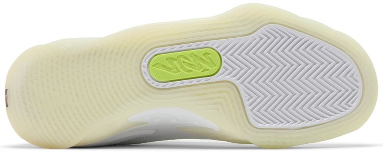 Air Jordan Zion 3 GS No Guts