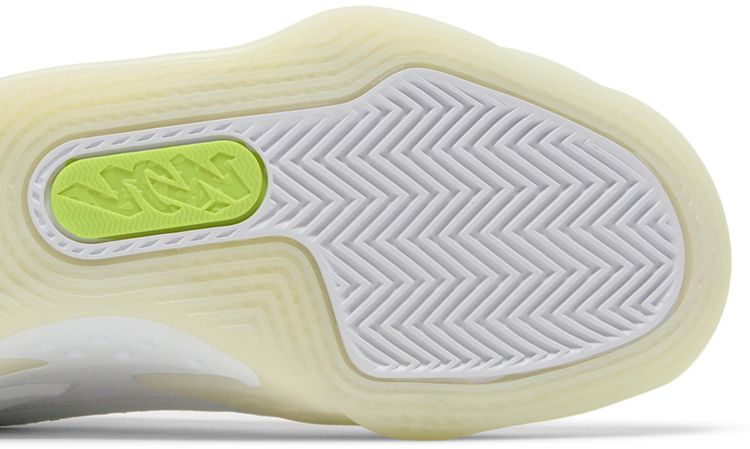 Air Jordan Zion 3 GS No Guts