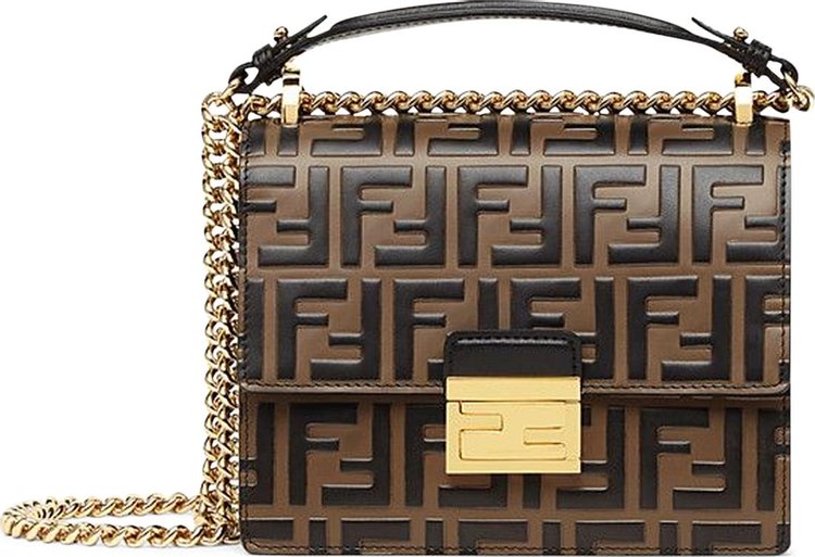 Fendi Kan U Small Bag BrownBlack