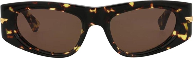 Bottega Veneta Cat Eye Sunglasses HavanaBrown