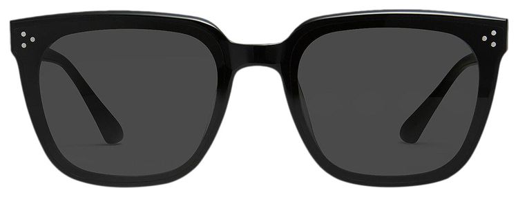 Gentle Monster Alan 01 Sunglasses Black