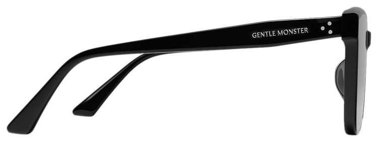Gentle Monster Alan 01 Sunglasses Black