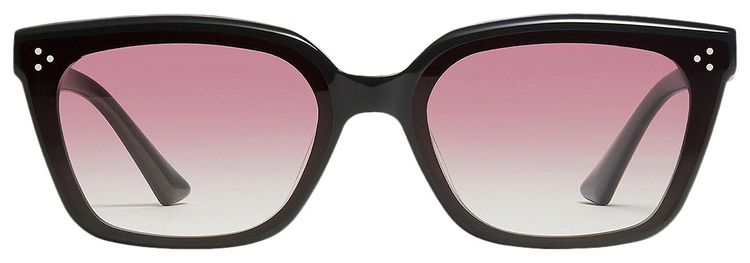 Gentle Monster Oslo 01 RG Sunglasses Black