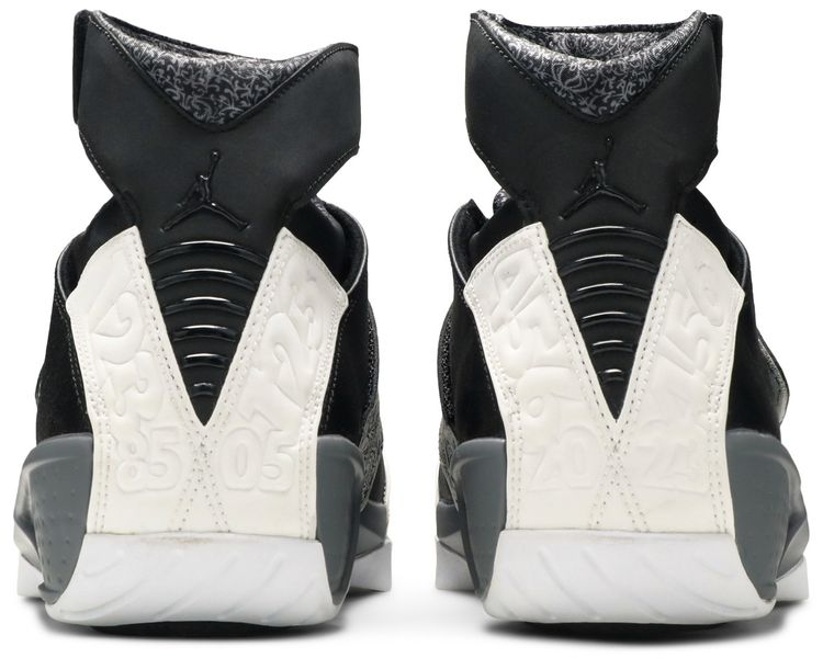 Air Jordan 20 Retro Playoffs