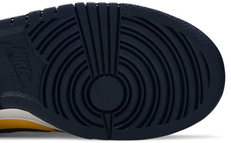 Dunk Low GS Michigan 2021