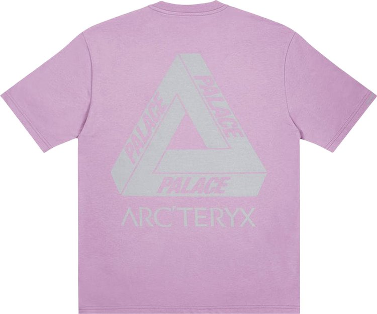 Palace x Arcteryx T Shirt Haze