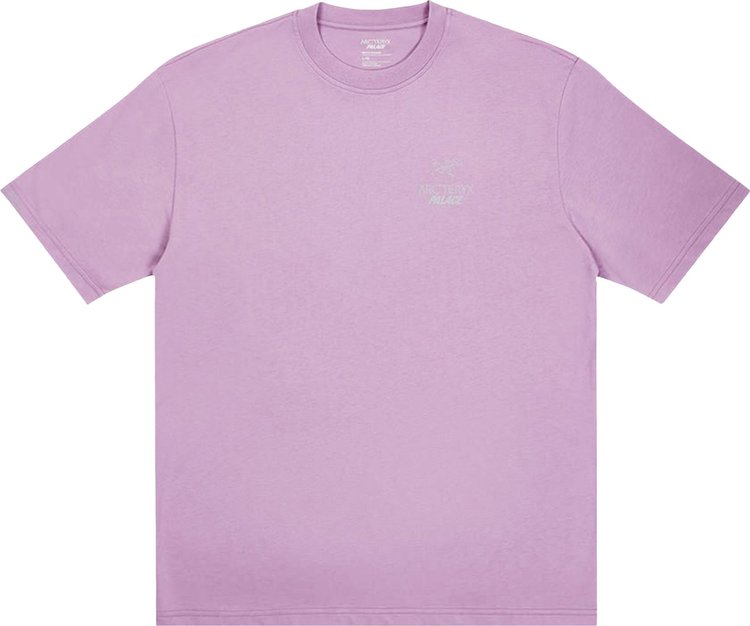 Palace x Arcteryx T Shirt Haze