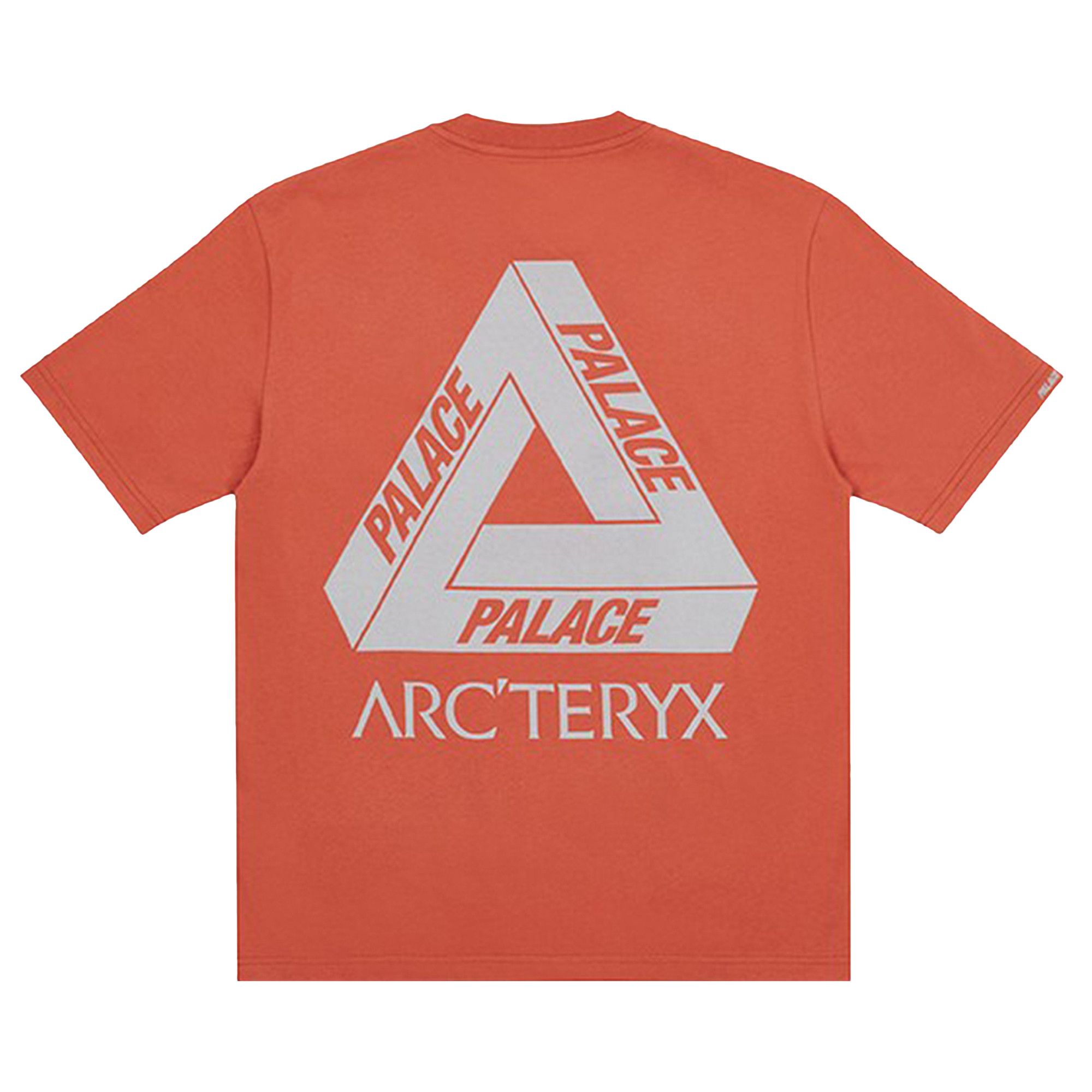 Buy Palace x Arc'teryx T-Shirt 'Ochre' - P19ARXTS005 | GOAT