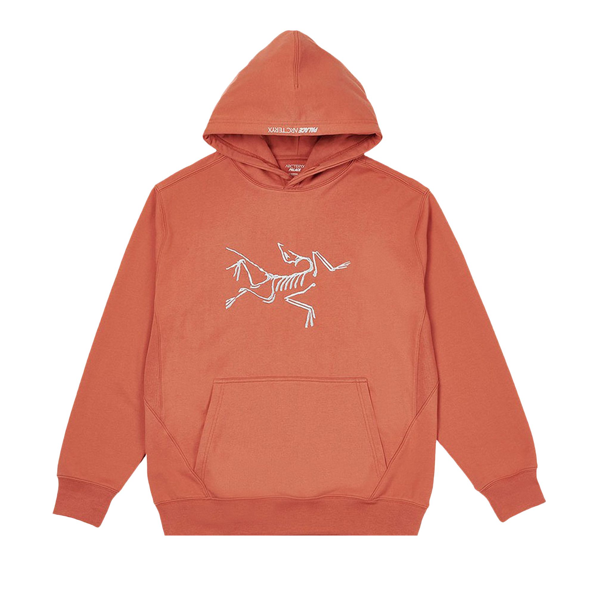 Buy Palace x Arc teryx Hood Ochre P19ARXHD004 GOAT
