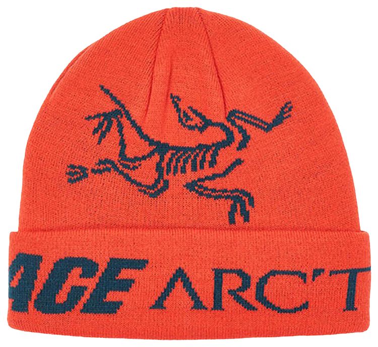 Palace x Arcteryx Beanie Dynasty