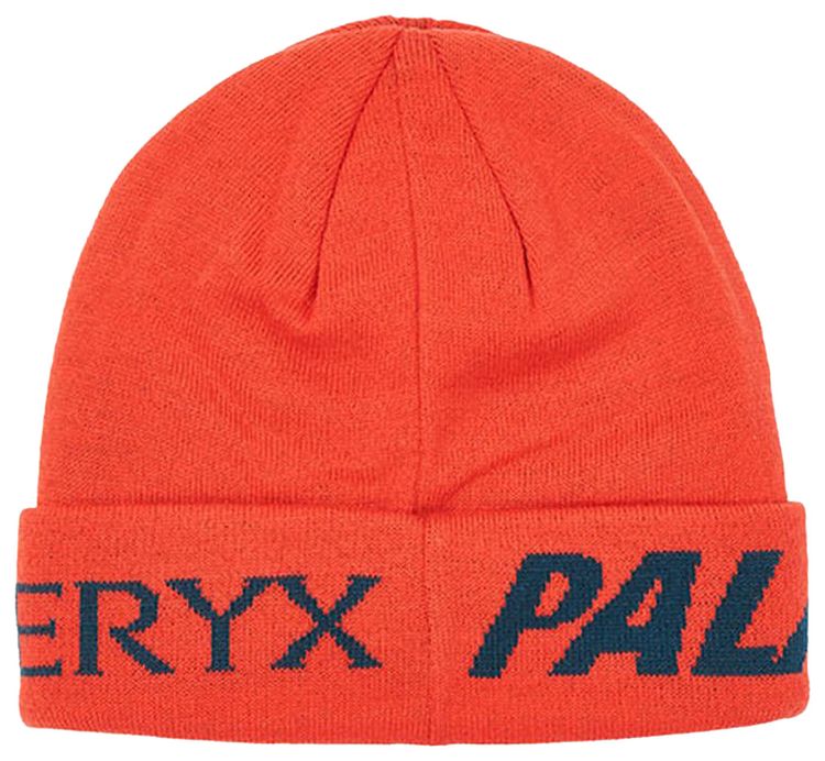 Palace x Arcteryx Beanie Dynasty