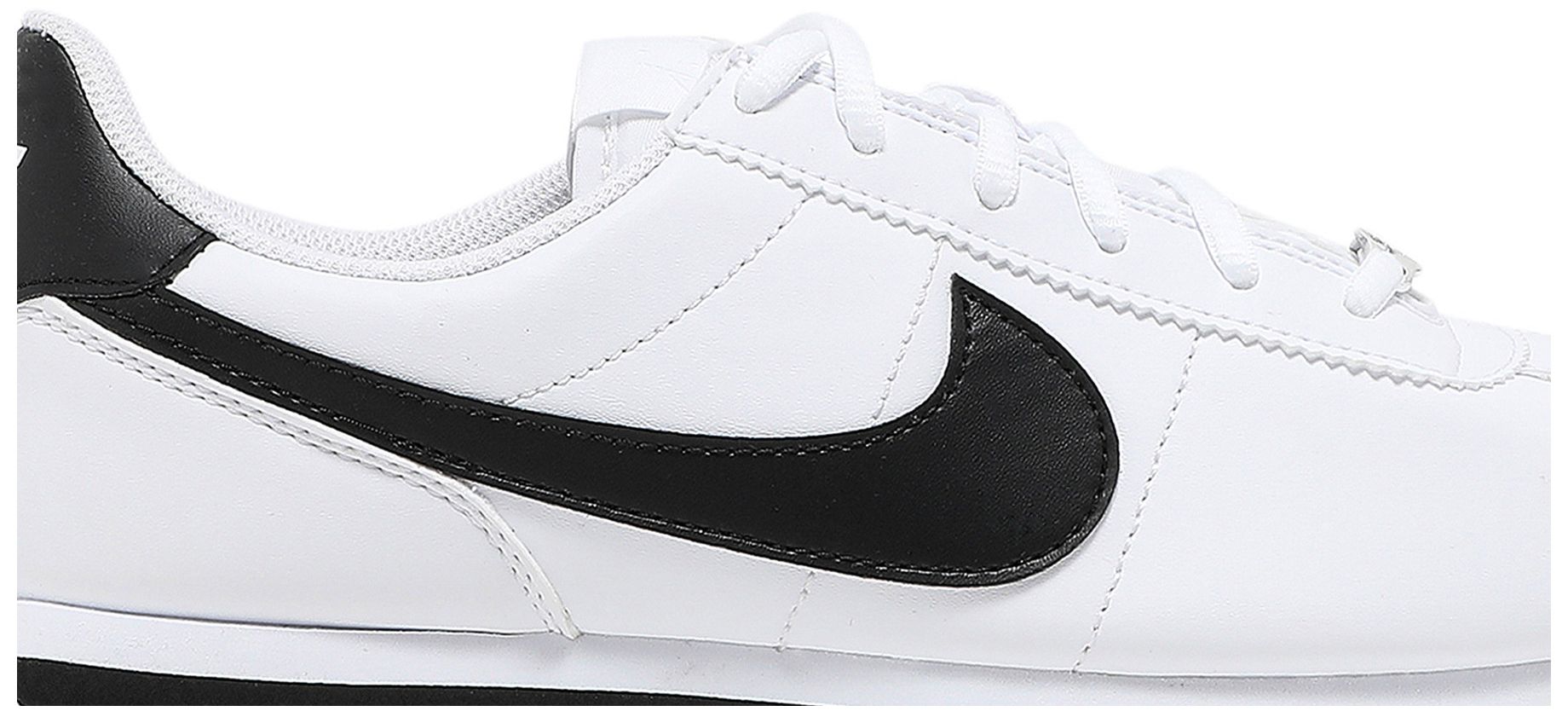 cortez basic sl