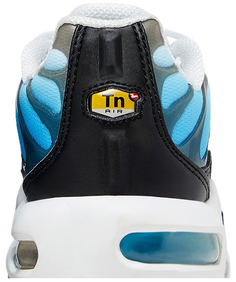 Nike Air Max Plus GS Ice