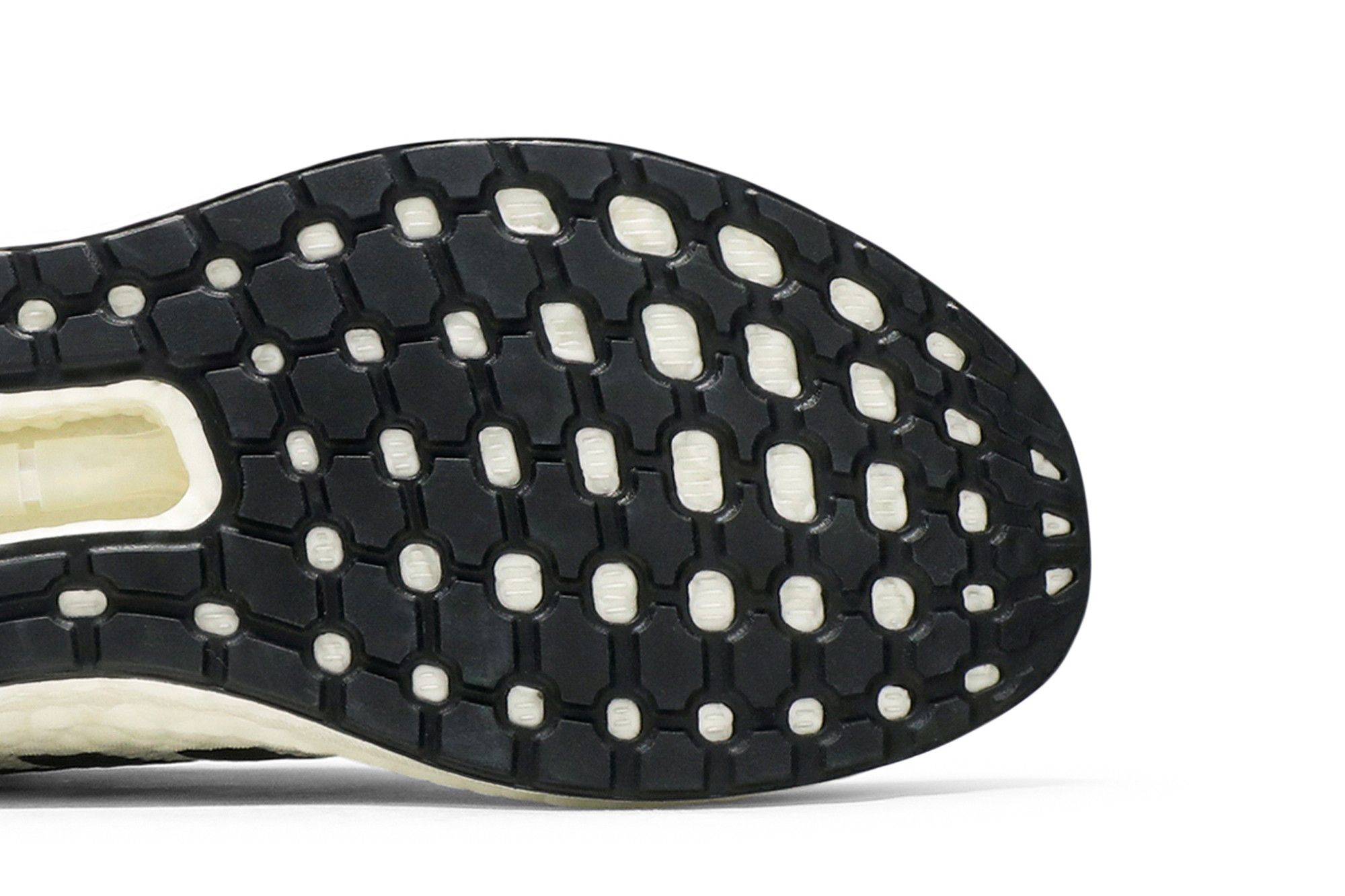 Adidas am4 kittens online