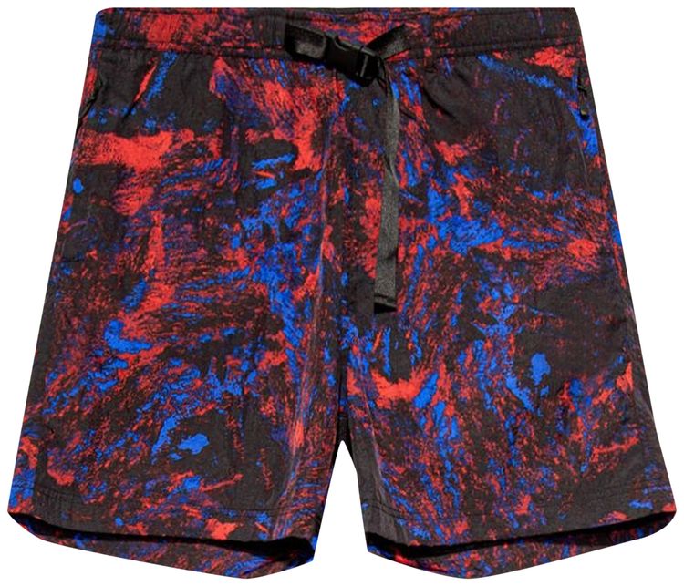 Carhartt WIP Terra Shorts Satelitte Print