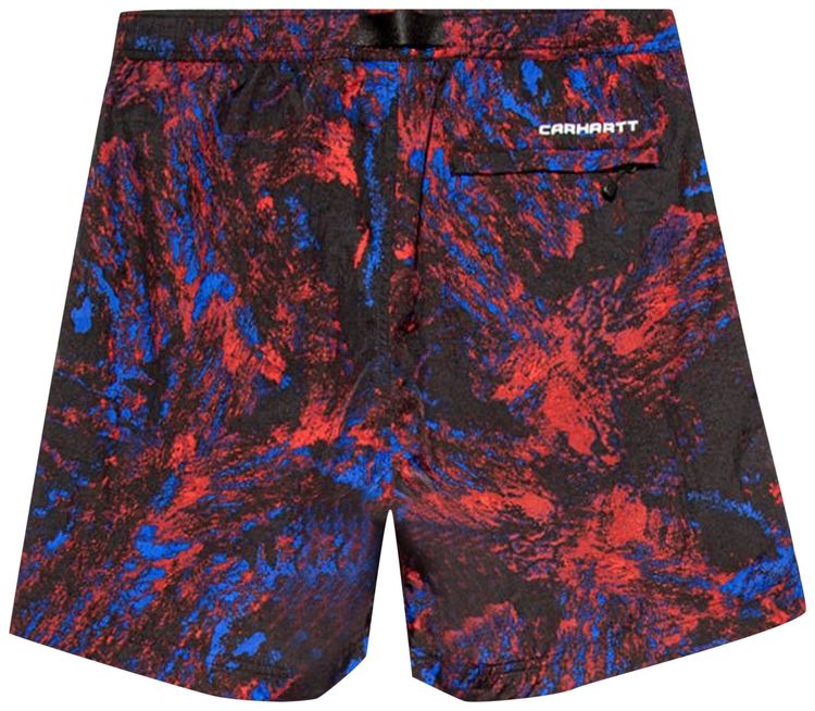 Carhartt WIP Terra Shorts Satelitte Print