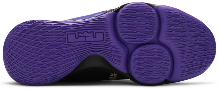 LeBron Witness 5 Fierce Purple Metallic Gold