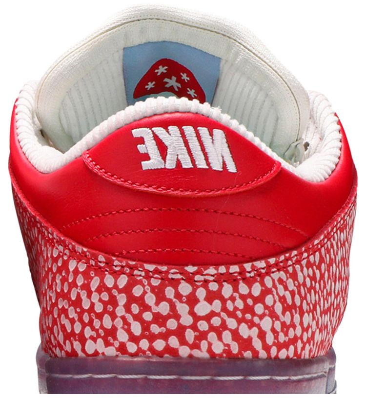 Stingwater x Dunk Low SB Magic Mushroom