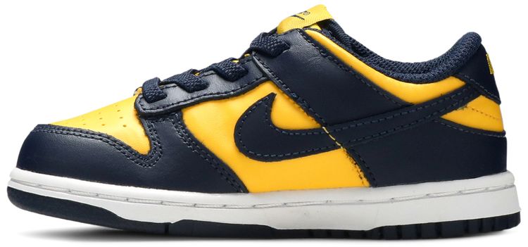 Dunk Low TD Michigan 2021