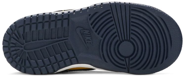 Dunk Low TD Michigan 2021