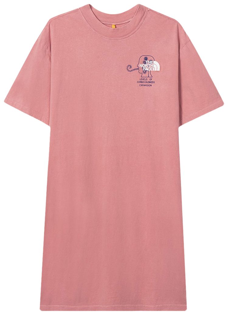 Brain Dead x The North Face T Shirt Dress Rose