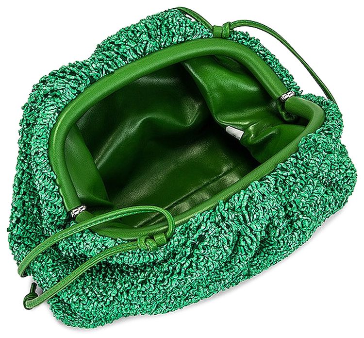 Bottega Veneta The Pouch Parakeet