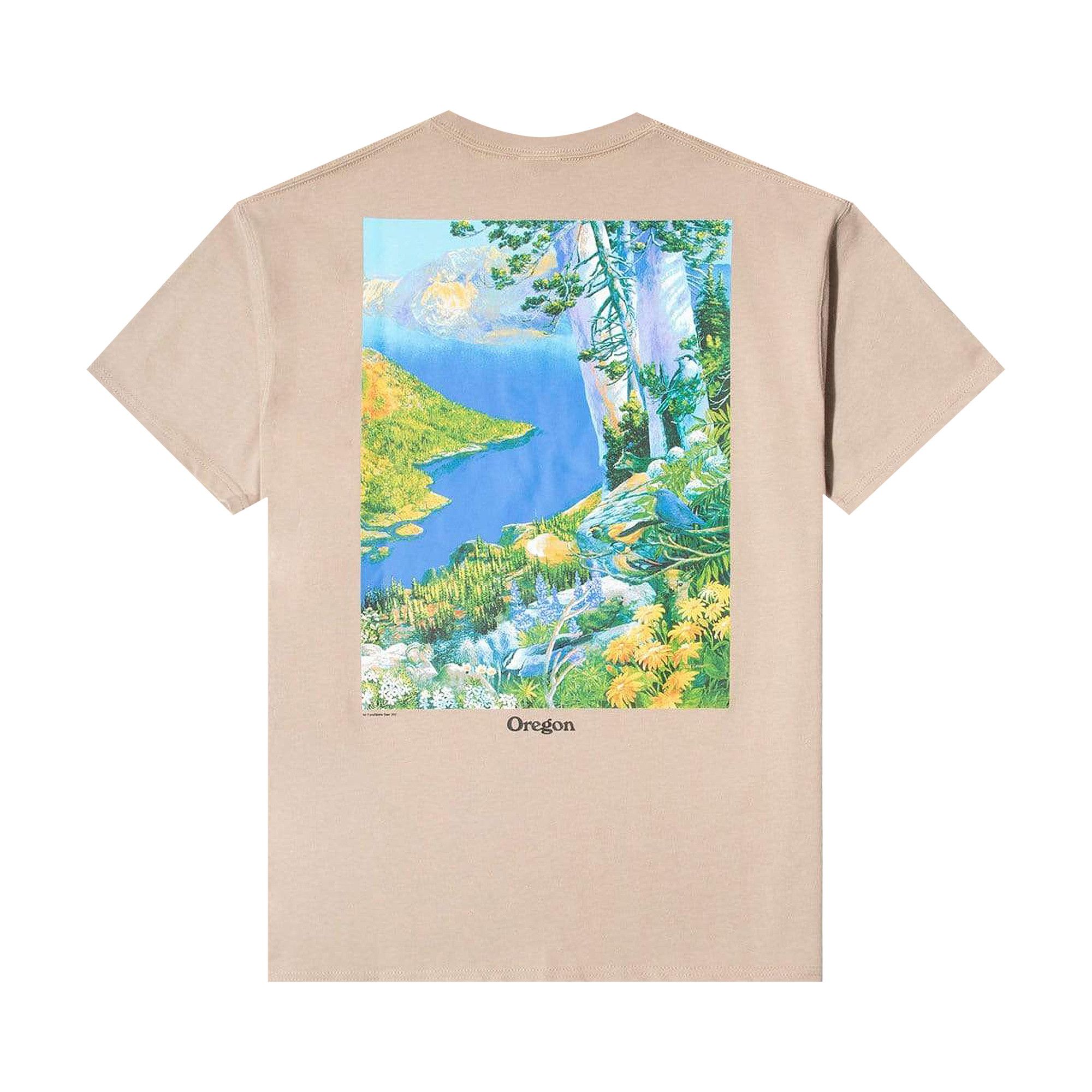 nike acg crater lake tee