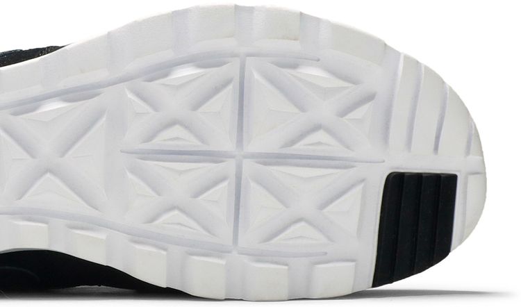 Nike SB Trainerendor LTR