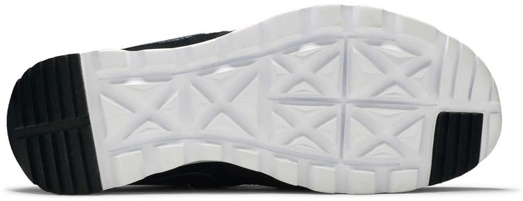 Nike SB Trainerendor LTR