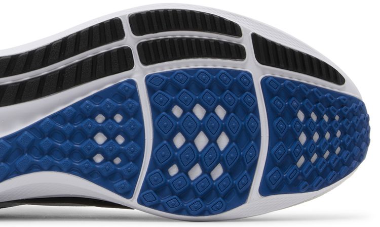 Nike Air Zoom Pegasus 40 Duke