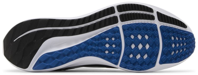 Nike Air Zoom Pegasus 40 Duke