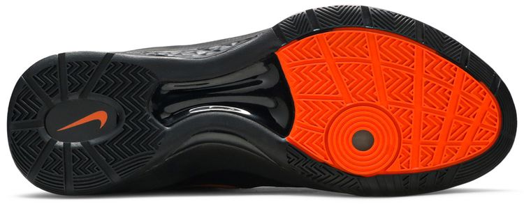 Nike Zoom Hyperdunk 2011 Low