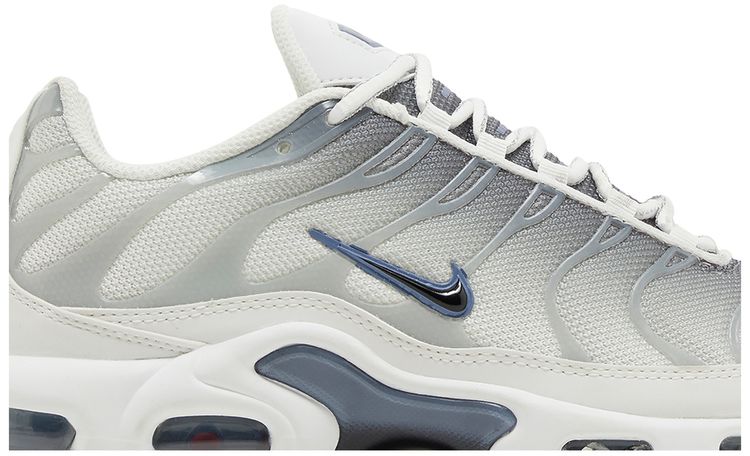 Nike Wmns Air Max Plus Smoke Grey Ashen Slate