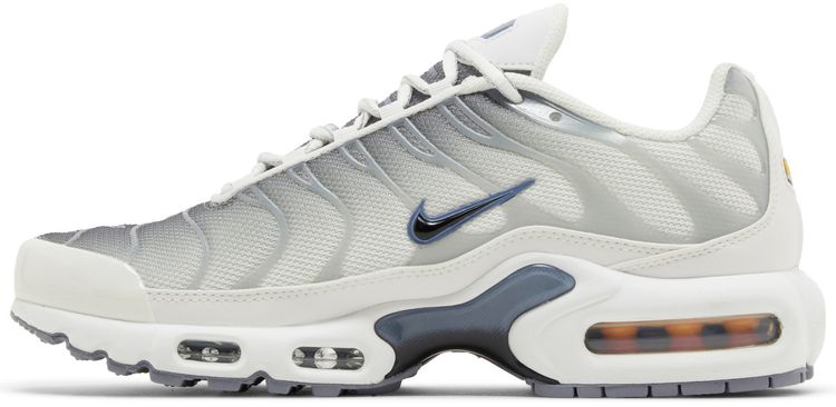 Nike Wmns Air Max Plus Smoke Grey Ashen Slate