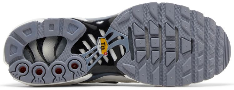 Nike Wmns Air Max Plus Smoke Grey Ashen Slate