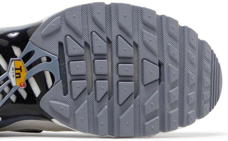 Nike Wmns Air Max Plus Smoke Grey Ashen Slate