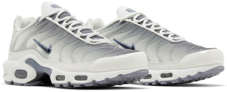 Nike Wmns Air Max Plus Smoke Grey Ashen Slate