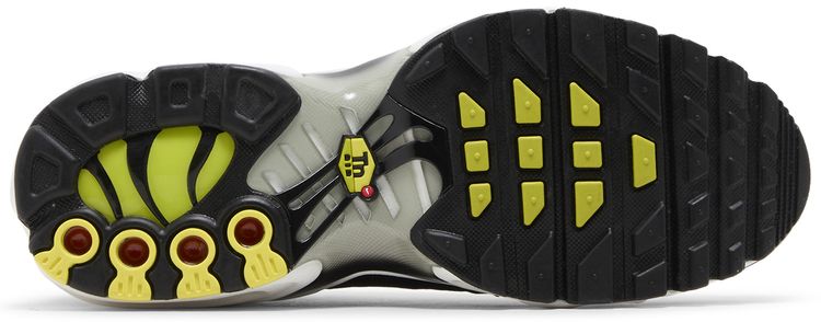 Nike Air Max Plus GS Black Bright Cactus