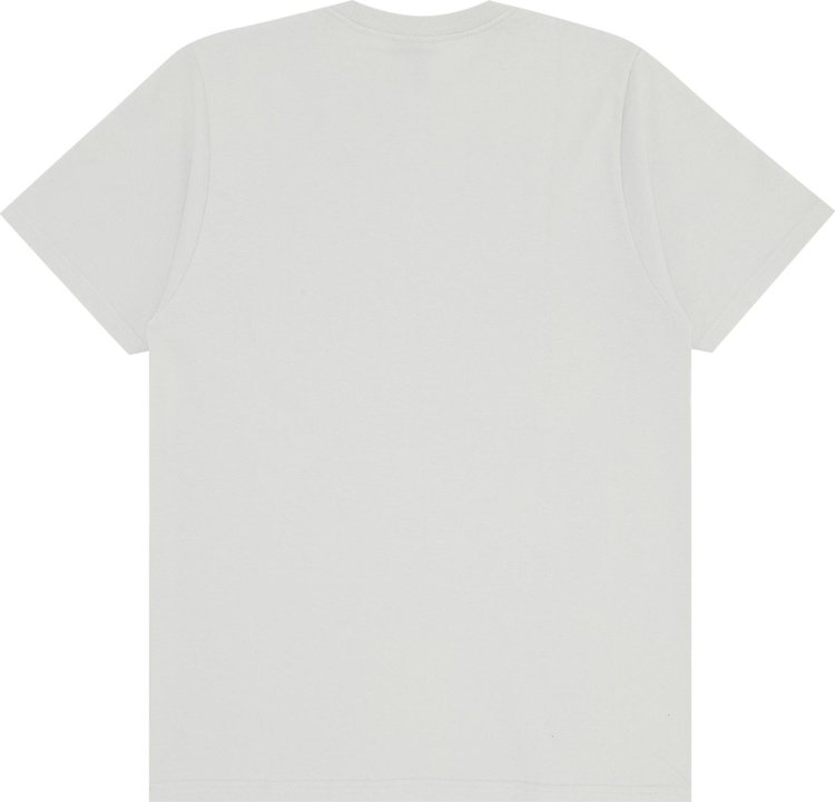 Stussy Dobermans Tee Fog