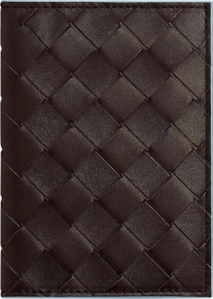 Bottega Veneta Painted Edge Passport Case FontantIce