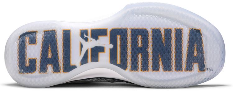 Air Jordan 31 Low Cal