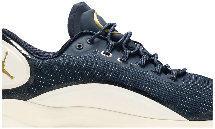 Air Jordan Zoom Tenacity Re2pect