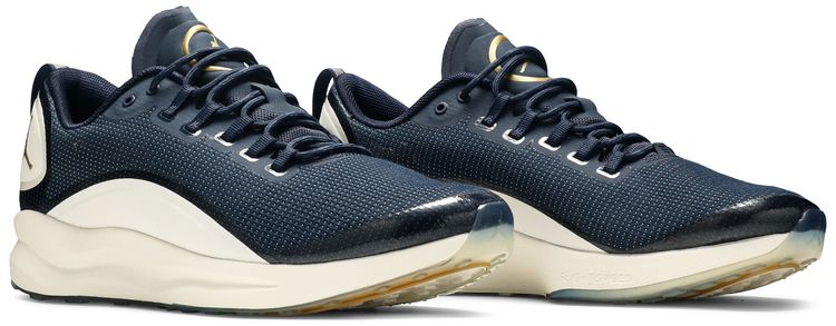 Air Jordan Zoom Tenacity Re2pect
