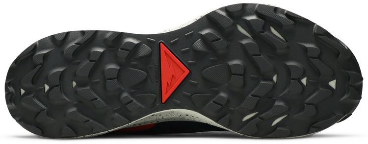 Nike Pegasus Trail 2 GTX Dark Smoke Grey Bright Crimson
